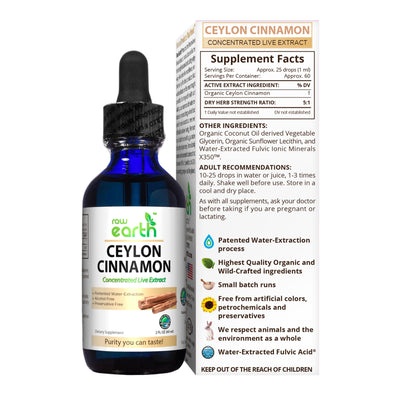Ceylon Cinnamon Extract 2oz - Raw Earth Extracts