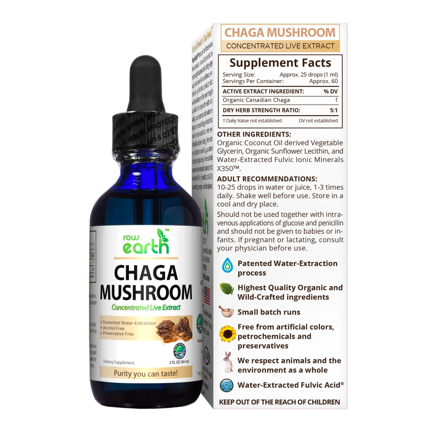 Chaga Mushroom Extract 2oz - Raw Earth Extracts