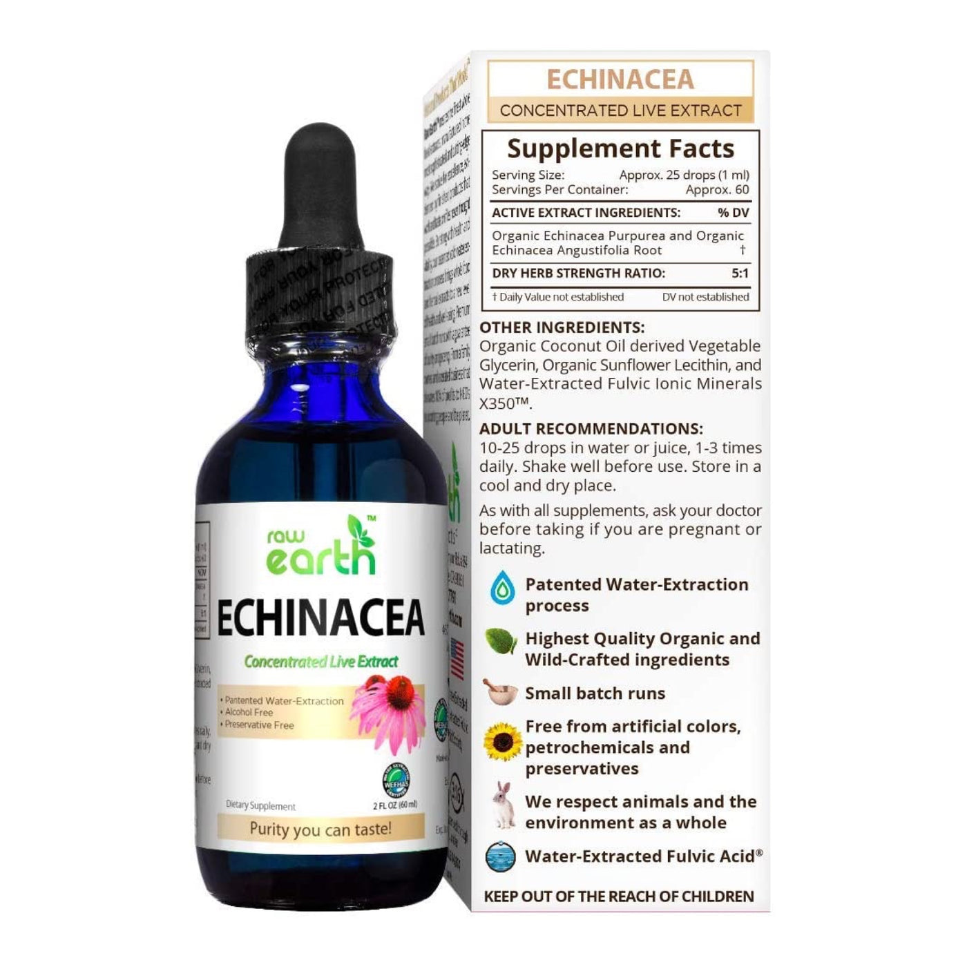 Echinacea Extract 2oz - Raw Earth Extracts