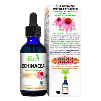 Echinacea Extract 2oz - Raw Earth Extracts