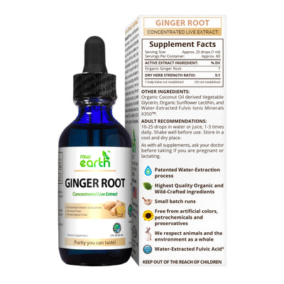 Ginger Root Extract 2oz - Raw Earth Extracts